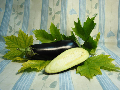 Aubergine.jpg