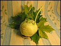 Kohlrabi.jpg