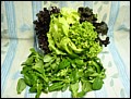 Salat.jpg