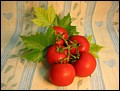 Tomate.jpg