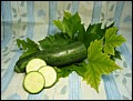 Zuccini.jpg