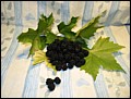 Brombeere.jpg