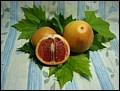 Grapefruit.jpg