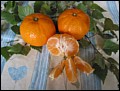 Mandarinen.jpg