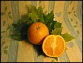 Orange.jpg