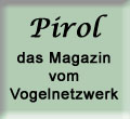 Pirol - das Magazin vom Vogelnetzwerk