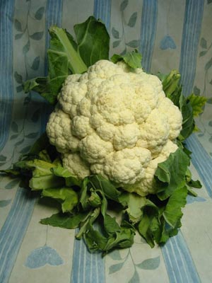 Blumenkohl.jpg
