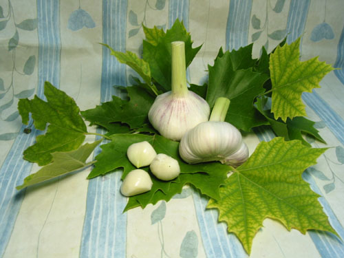 Knoblauch.jpg