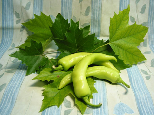 Peperoni.jpg