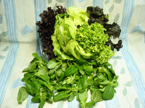 Salat.jpg