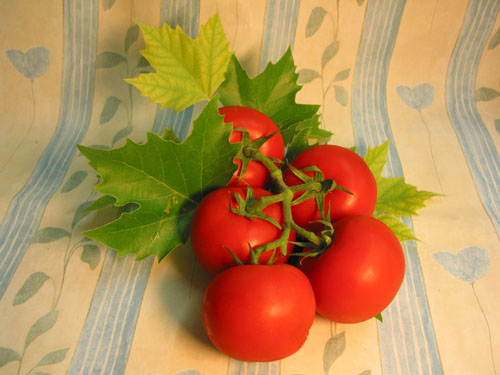 Tomate.jpg