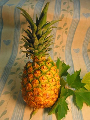 Ananas.jpg