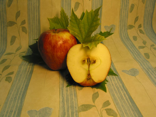 Apfel.jpg