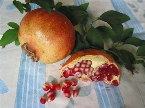 Granatapfel.jpg