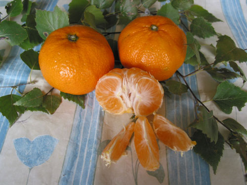 Mandarinen.jpg