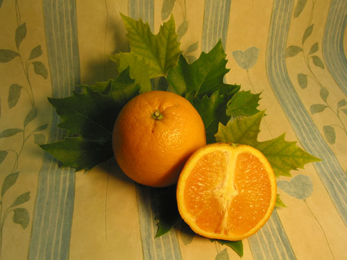 Orange.jpg