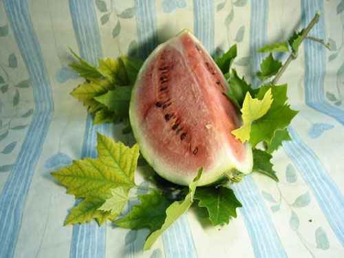 Wassermelone.jpg