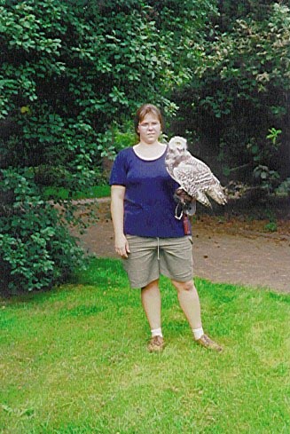 Schneeeule Hedwig